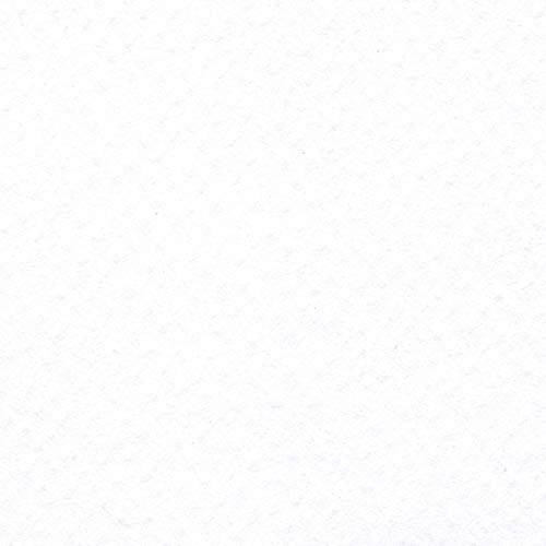 PaperPep Colorissimi 220GSM Card Stock 50X70CM Bianco (White) Unicolor