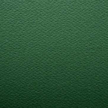 PaperPep Colorissimi 220GSM Card Stock A5 Pino (Dark Green) Unicolor 30 Sheets