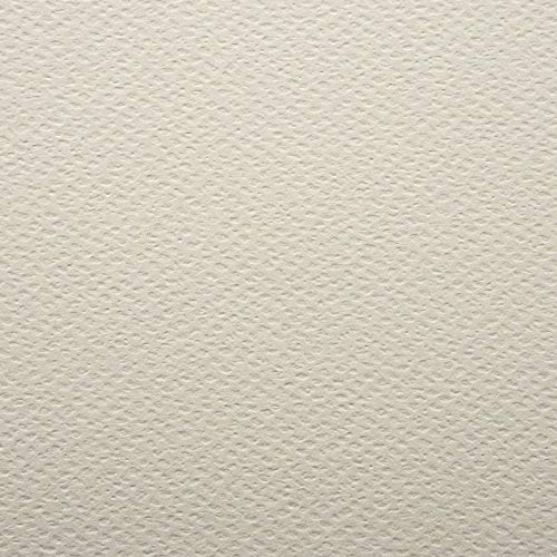 PaperPep Colorissimi 220GSM Card Stock A5 Grigio (Light Grey) Unicolor 30 Sheets