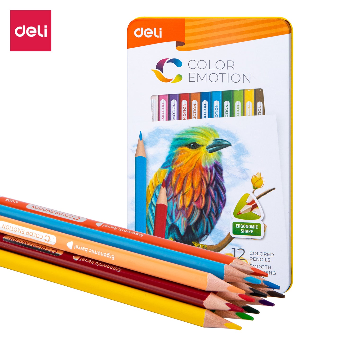 Deli WC00205 Color Pencil 12 Pcs, Multicolor (Pack of 1)