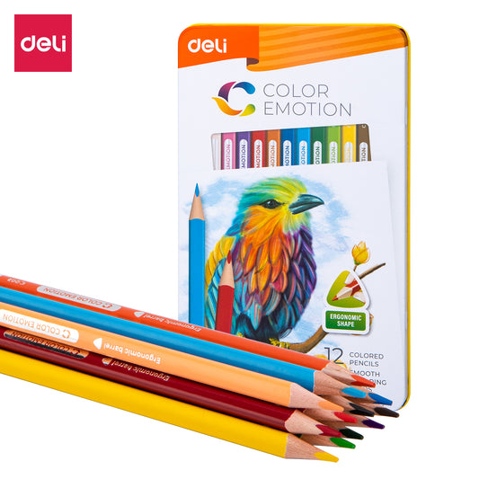 Deli WC00205 Color Pencil 12 Pcs, Multicolor (Pack of 1)