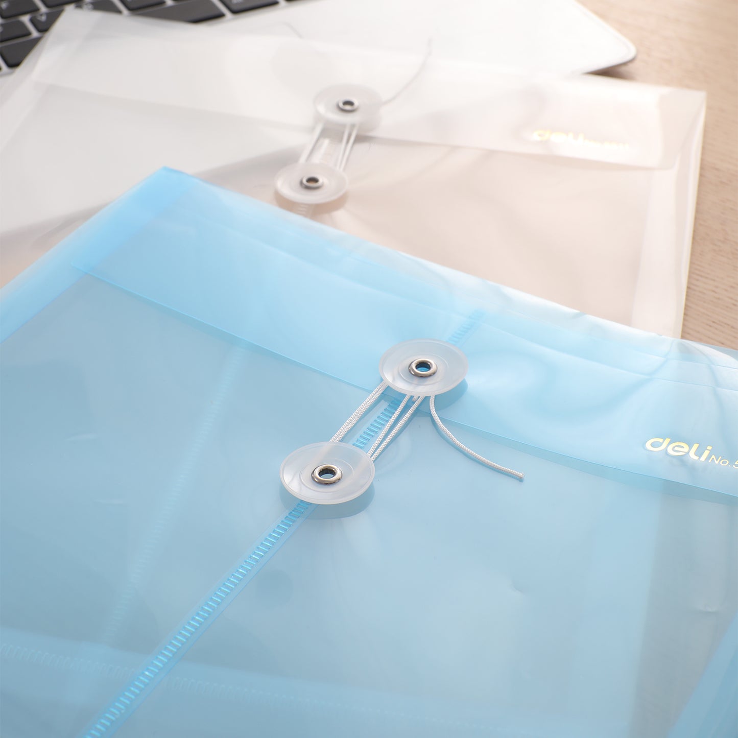 Deli W5511 File Bag, Vertical String, Transparent , Pack of 1