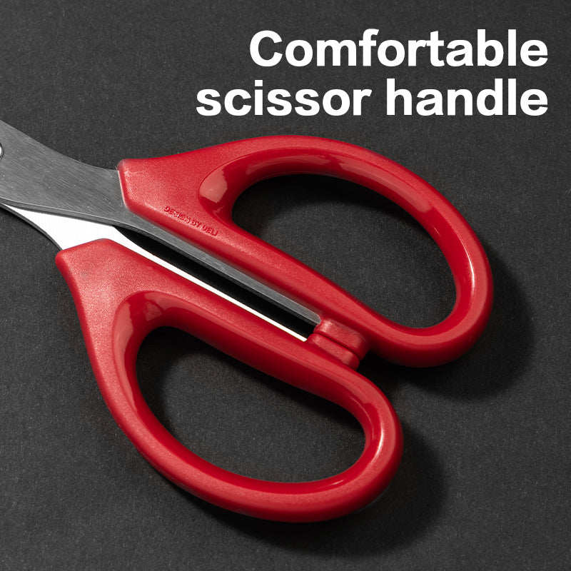 Deli W6010 Scissors 210mm (Pack of 1, Color May Vary)