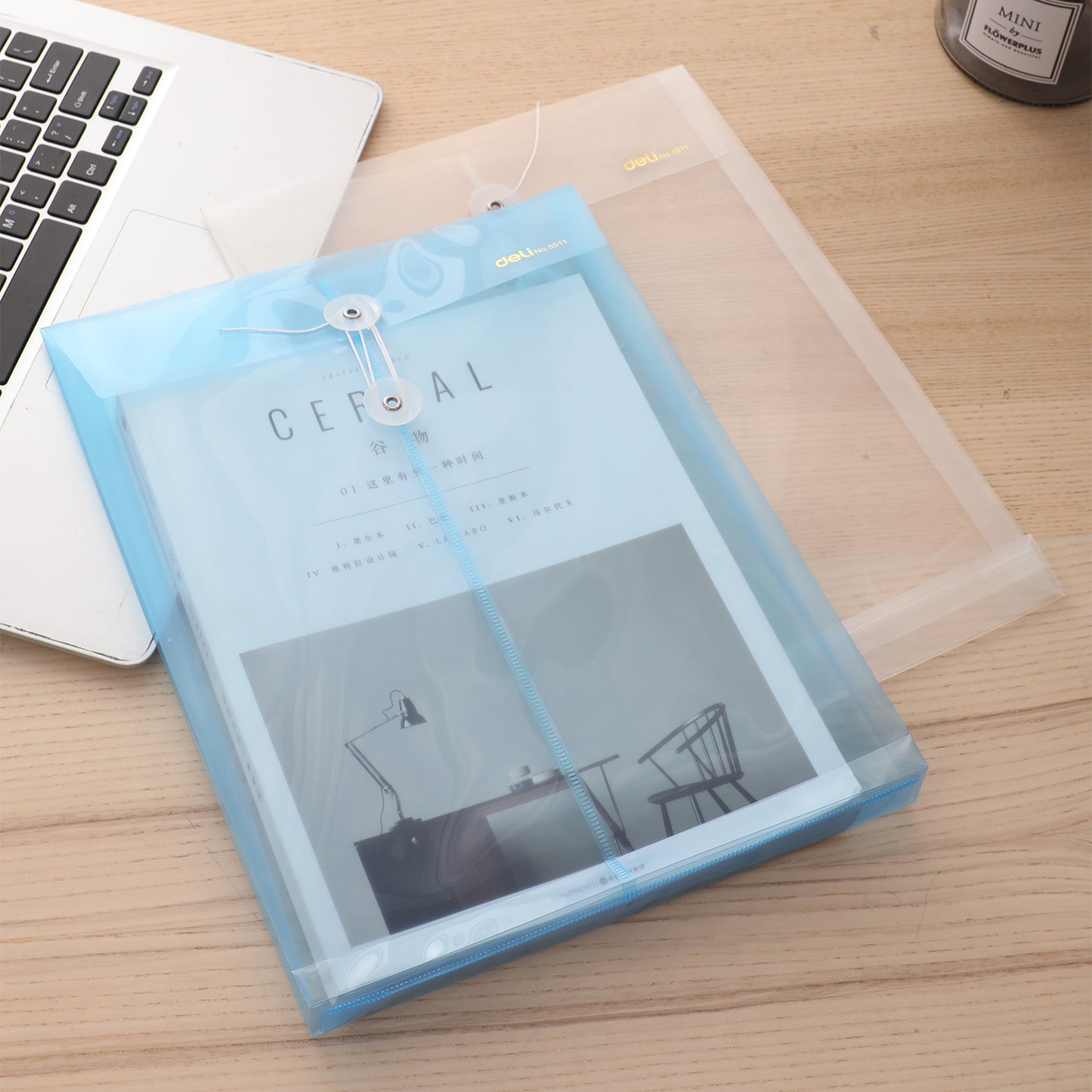 Deli W5511 File Bag, Vertical String, Transparent , Pack of 1