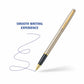 Pierre Cardin Monza Titanium Finish Exclusive Metal Roller Ball Pen, Blue Ink, Pack of 1