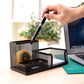 Deli W9175 Versatile Pen Stand (Pack of 1)