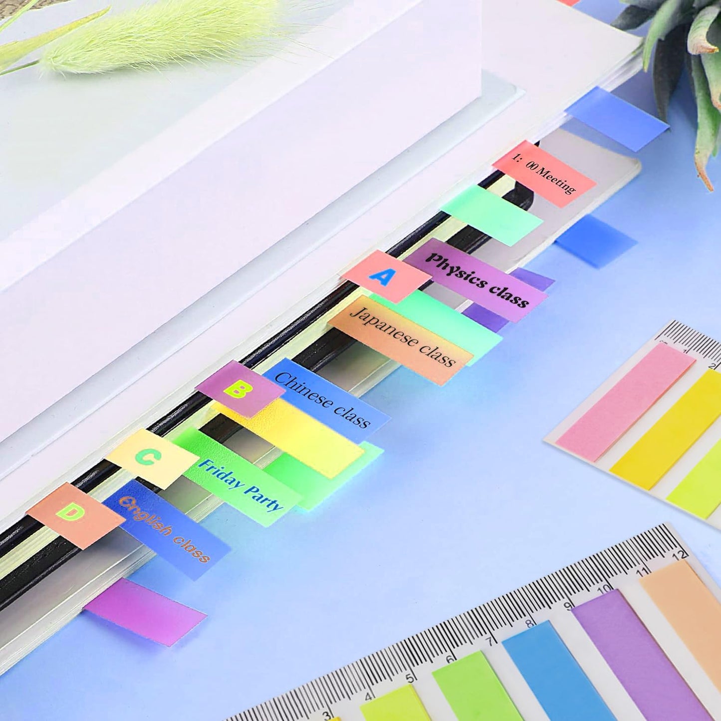 NUOVI Index Tab (Set of 2, Multicolor)