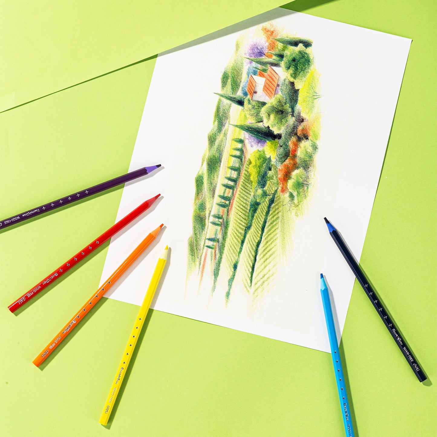 Deli WC112-12 Color Pencils (Multicolor, Pack of 1)