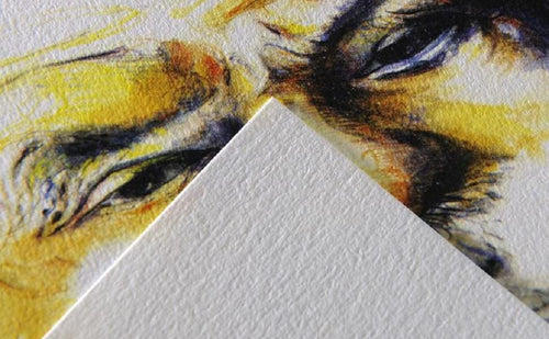 Canson C  Grain Drawing 180 GSM Light Grain A4 Paper Sheets (White- 10 Sheets)