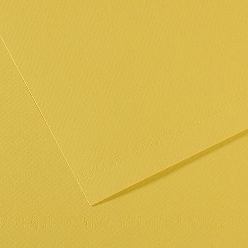Canson Mi-Teintes 160 GSM Embossed 50 x 65 Coloured Paper Sheets (Anis,25 Sheets)