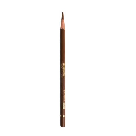 Ondesk Artics Artists' Brown Charcoal Drawing Medium Colour Pencil Kit | Brown, Pack of 1